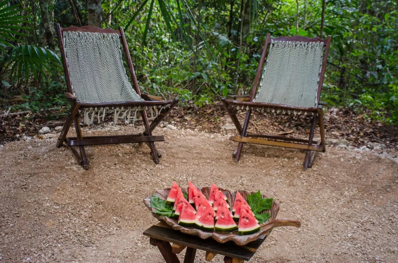 Hotel Glamping Mama Loo Mm Puerto Morelos