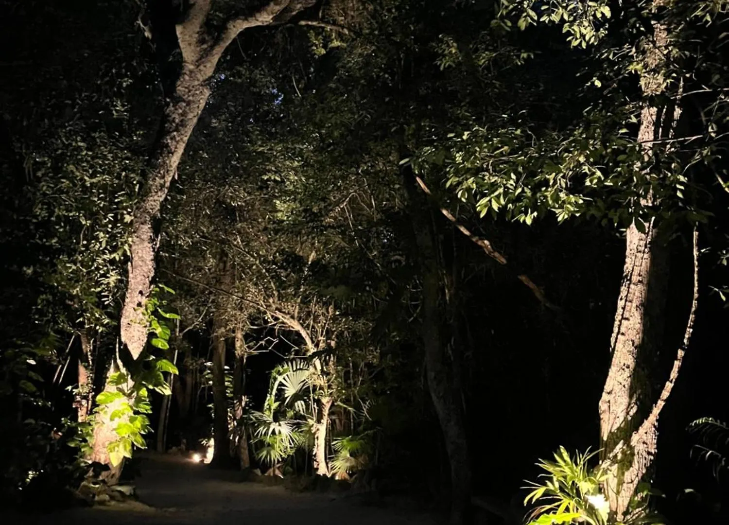 Glamping Mama Loo Mm Hotel Puerto Morelos Luxury tent