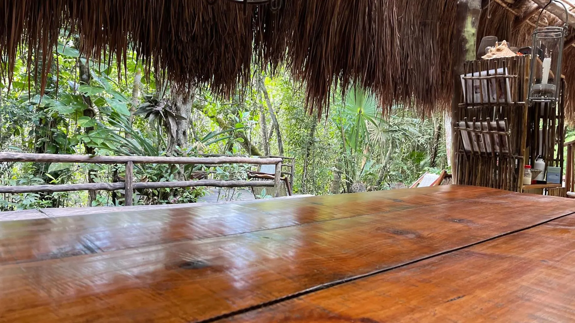 Glamping Mama Loo Mm Hotel Puerto Morelos Luxury tent