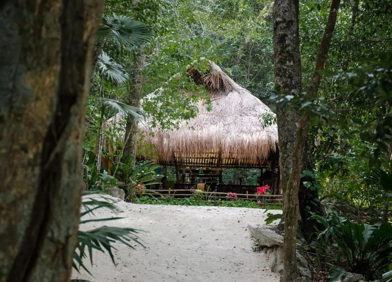 Tente de luxe Hotel Glamping Mama Loo Mm à Puerto Morelos