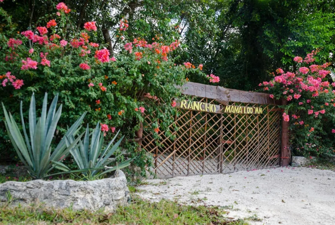 Tente de luxe Hotel Glamping Mama Loo Mm à Puerto Morelos