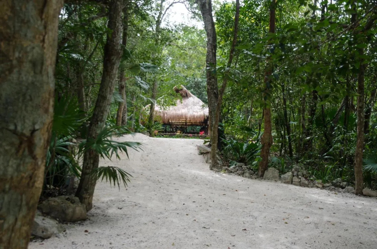 Luxury tent Rotamundos Mama Loomm Hotel Playa del Carmen